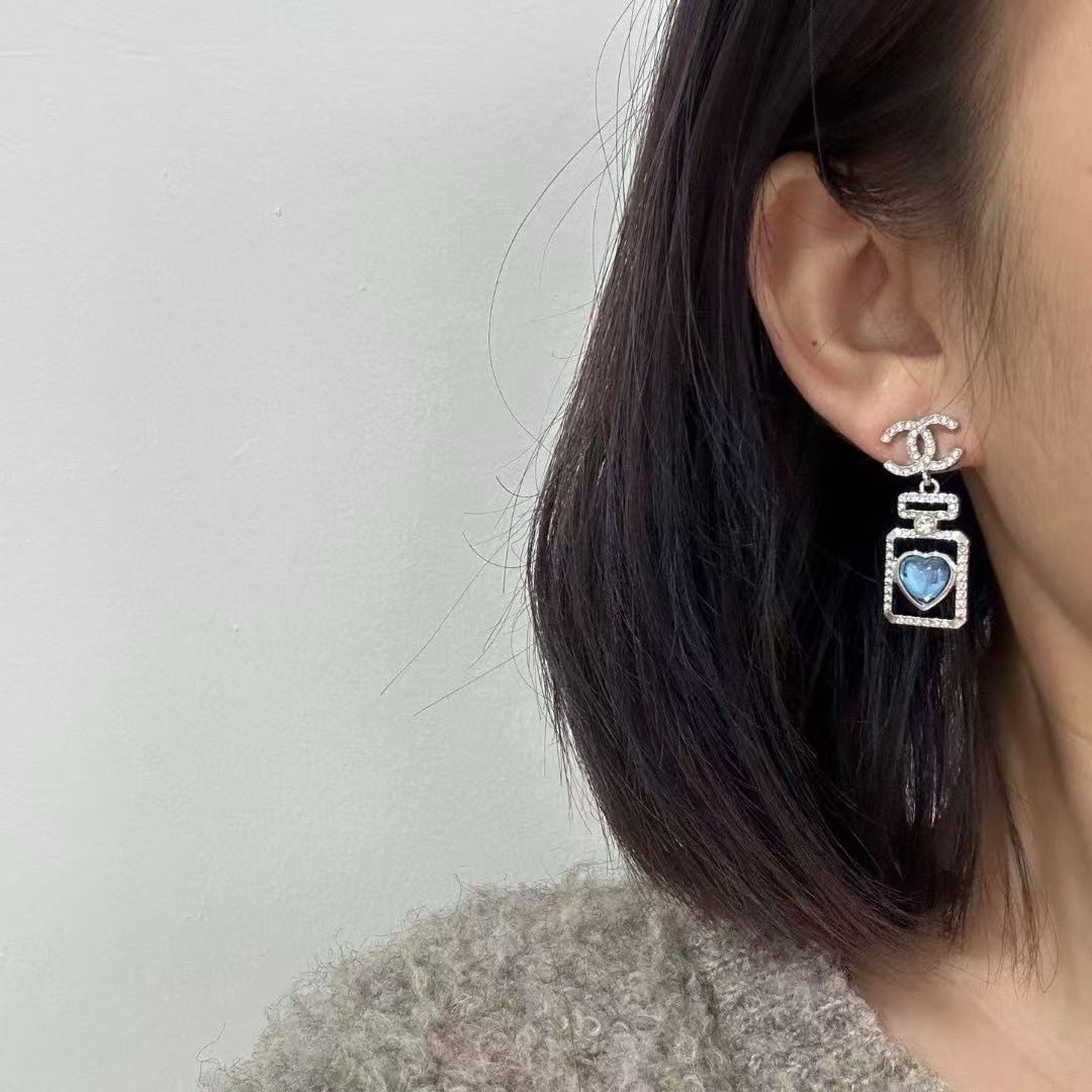 Fashionable luxury titanium steel Earrings